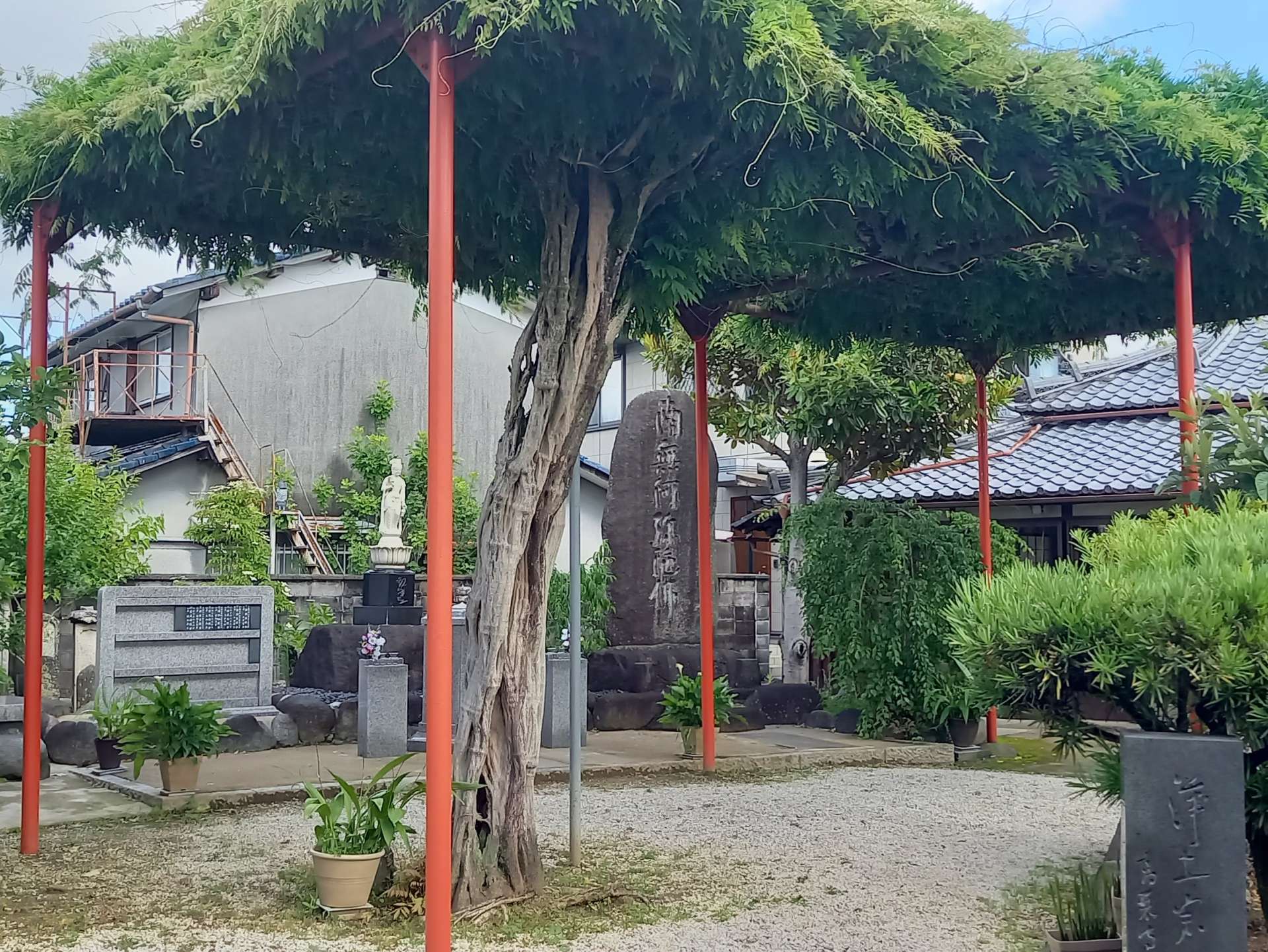 京都府木津川市N様邸宅(お寺)の庭の剪定をしました！植木屋京都みなみ園