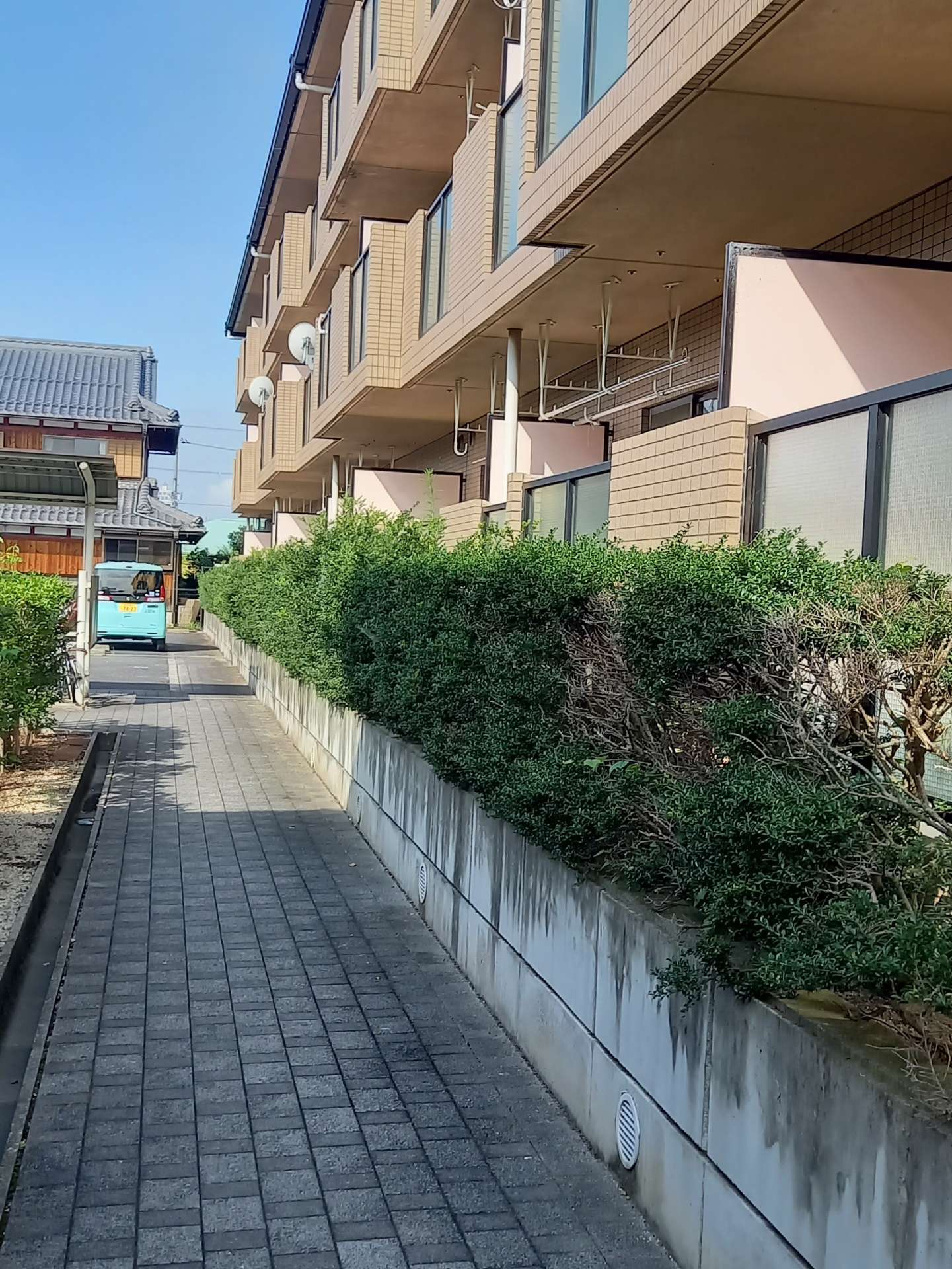 滋賀県近江八幡市Kアパート様の剪定・刈込剪定をしました！植木屋京都みなみ園