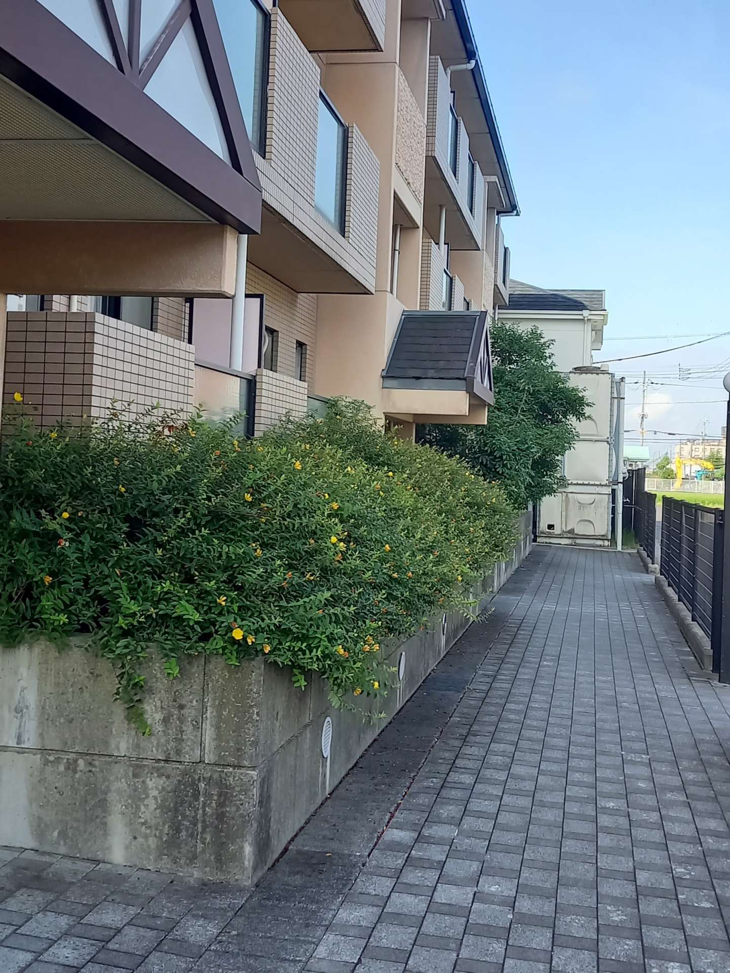 滋賀県近江八幡市Kアパート様の伐採・防草シートを施工しました！植木屋京都みなみ園