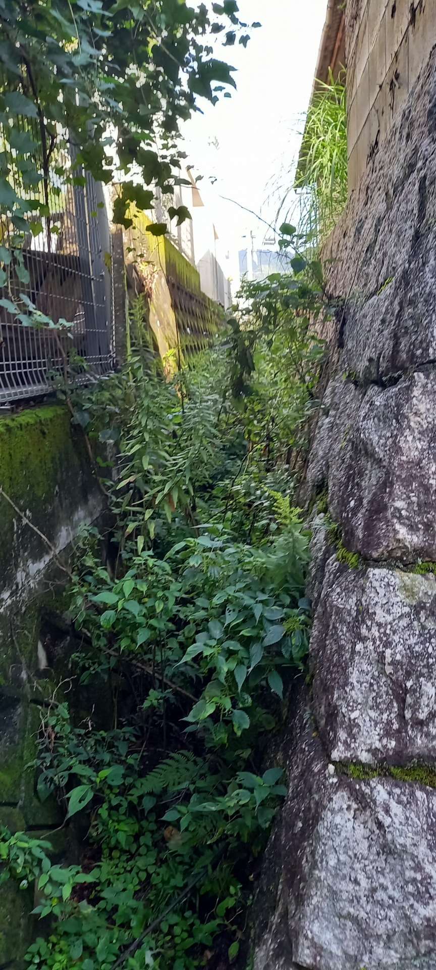 京都府相楽郡M様邸宅の草刈・土取り作業をしました！京都みなみ園