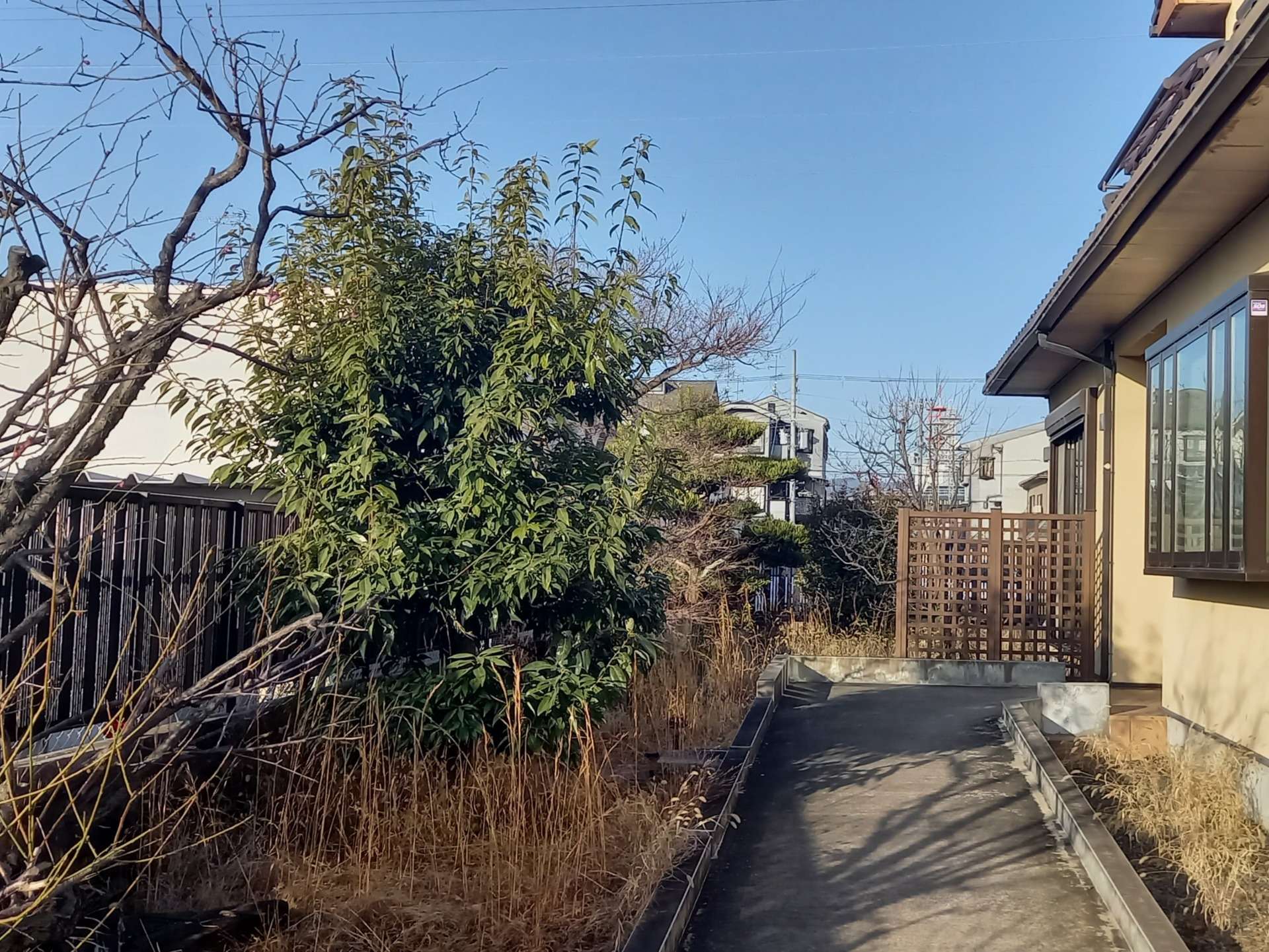 京都市伏見区l様邸宅の剪定・草刈をしました！植木屋京都みなみ園